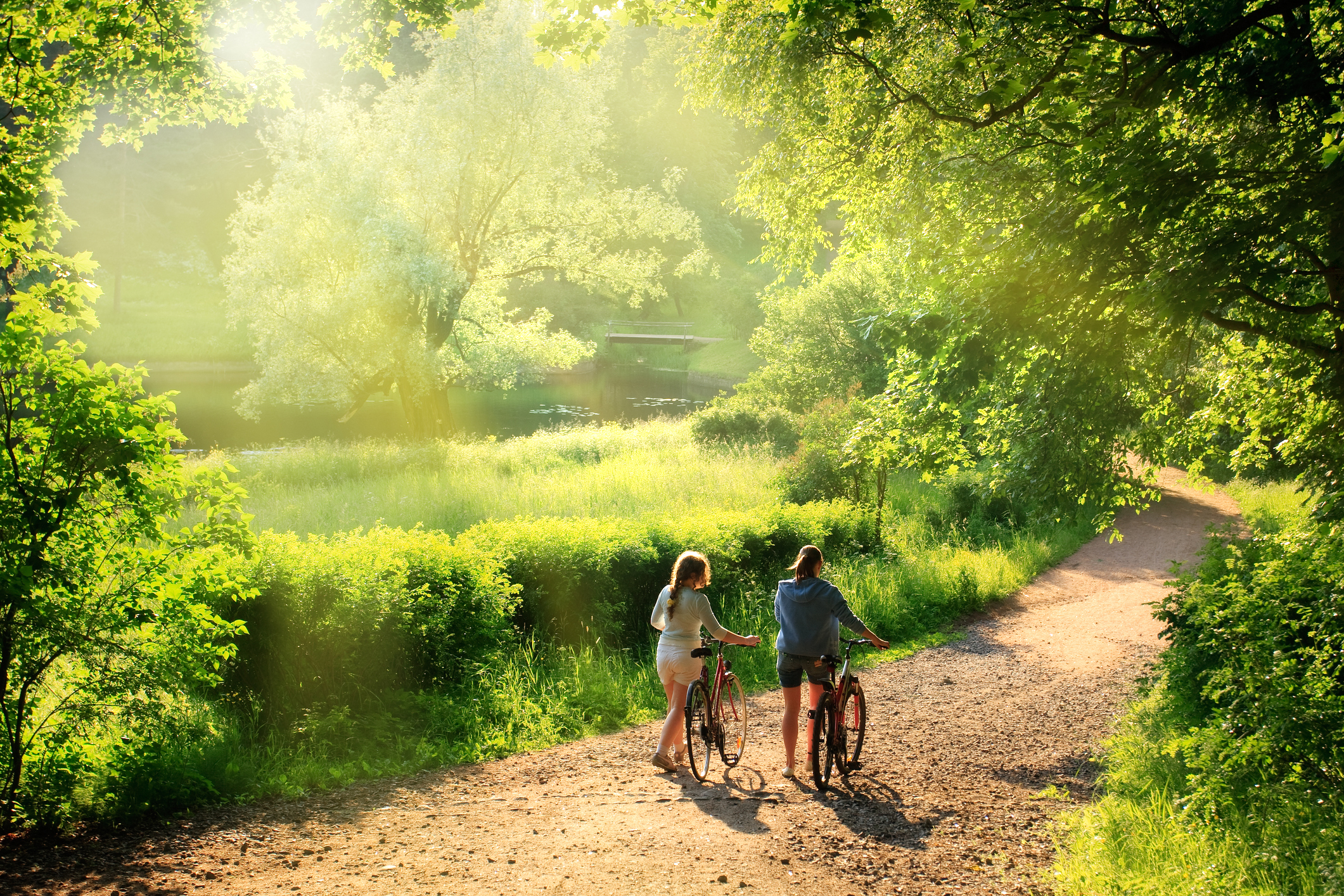 Bicyclists walk in the park with their bikes